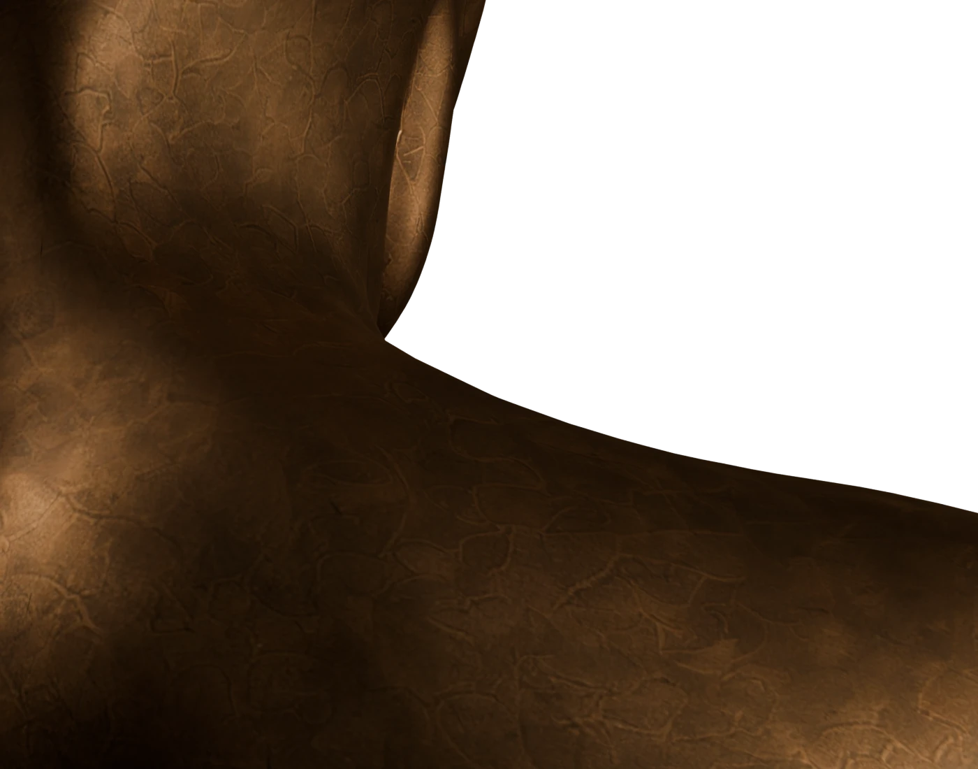 A narrow wash of light revealing the textured curve of a KAW form.